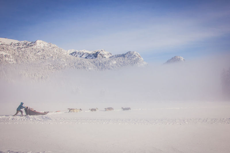 Man sitting on sled during winter