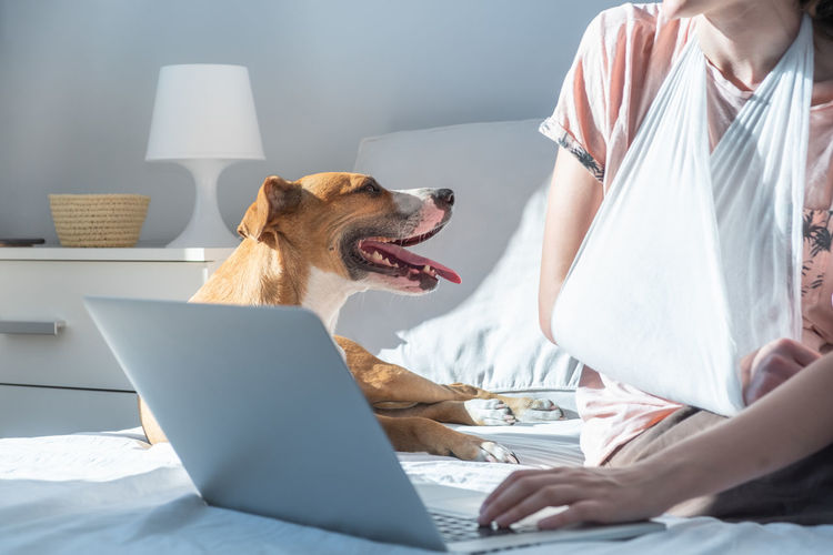 Midsection of woman with broken arm using laptop on bed by dog at home