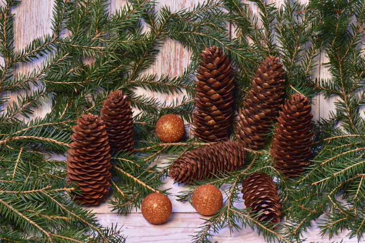 Christmas background of green spruce branches with cones and new year decorations