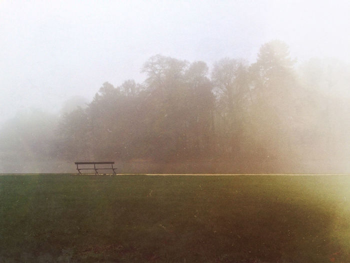 Trees on field against sky in foggy weather