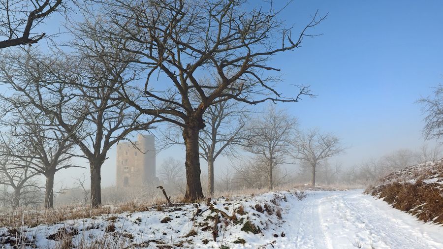 winter