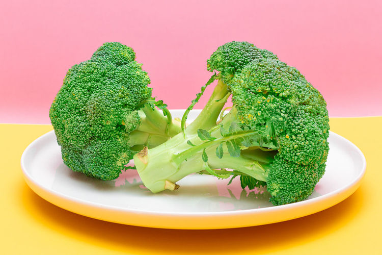 Close-up of broccoli in plate on pink background