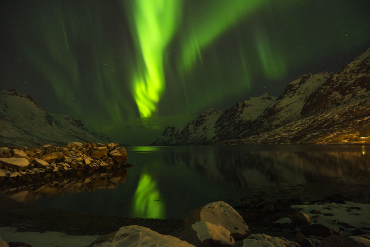 Green nordic lights aurora borealis, erstfjordsbotn kvaloya tromso norway with mountains and fjord