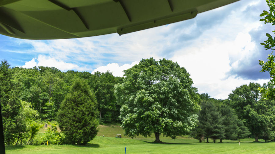 Trees against sky