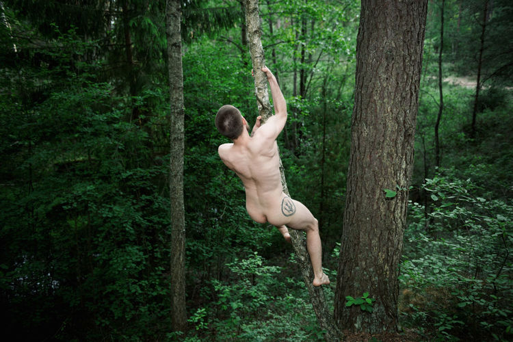 Full length of woman jumping in forest