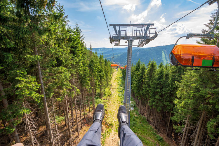 Low section of man amidst trees against overhead cable cars