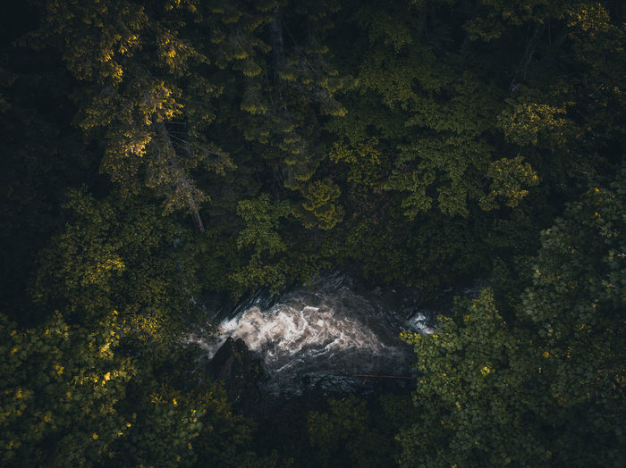Aerial view of waterfall in the forest. top view