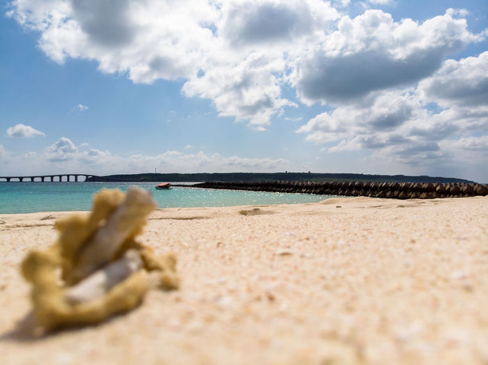 Surface level of beach against sky