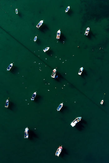 High angle view of birds and boats in water