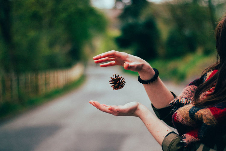 Close-up of woman holding pine cone