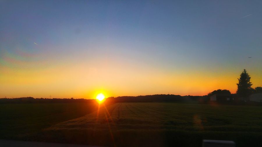 Sunset over agricultural field