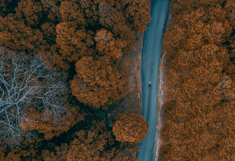 Aerial view of man on road amidst trees