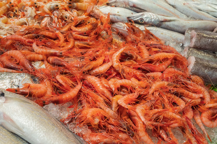High angle view of prawns for sale in market