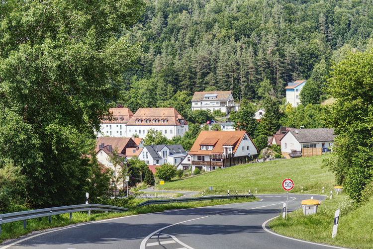 Road by trees and buildings in village