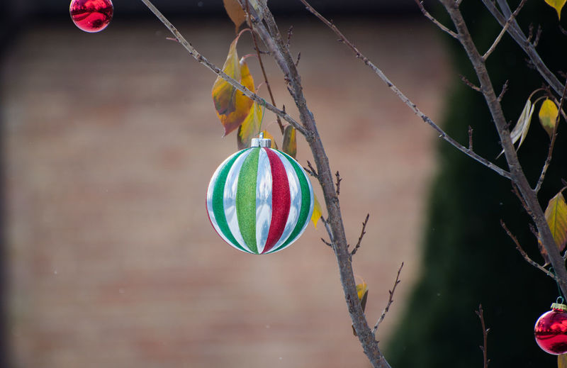 Multi colored christmas baubles hanging on tree