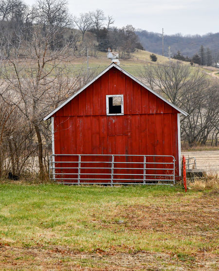 House on field