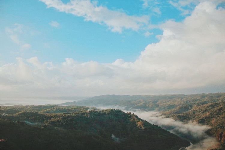 Forested indonesian mountains in summer