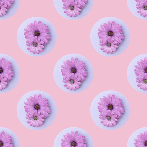 Full frame shot of pink flowers against gray background
