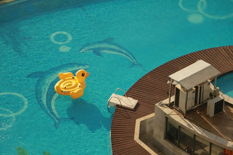 Little yellow duck by the pool