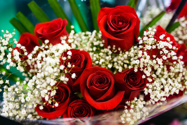 Close-up of red roses on table