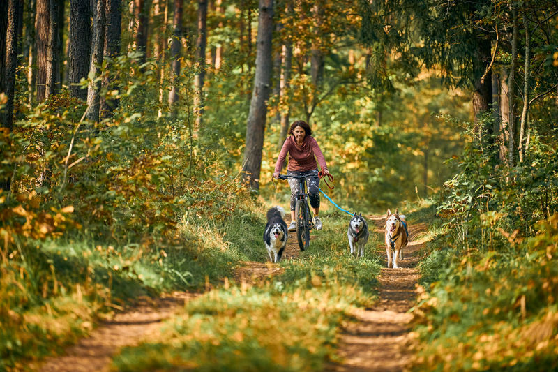 Man riding horse with dog on footpath in forest