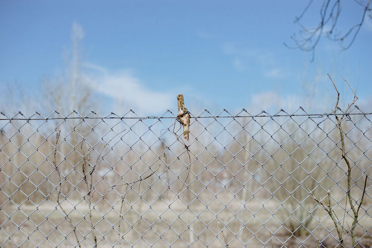 Birds on chainlink fence against sky