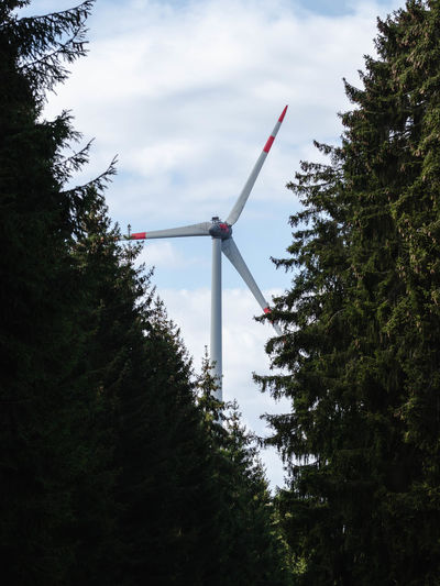 Low angle view of wind turbine and plants against sky