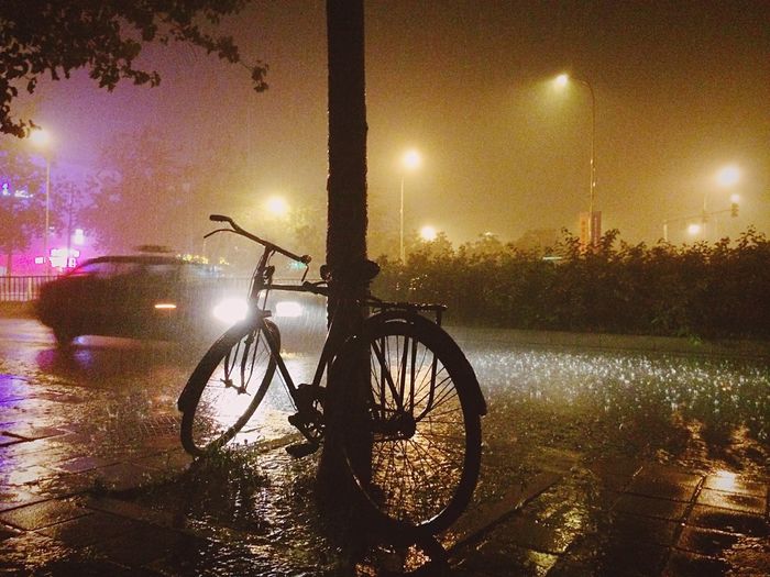 Bicycle parked by tree at night during rainy season