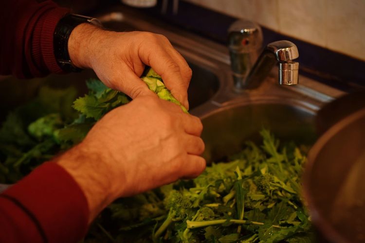 Cropped image of man holding leaf vegetable at sink