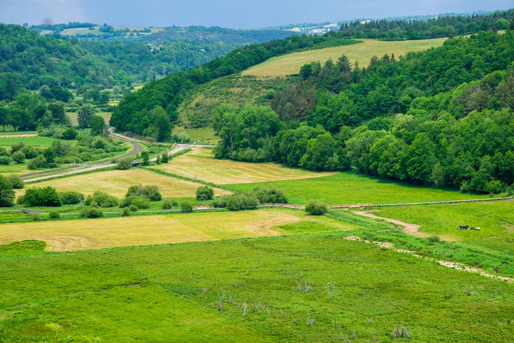 Scenic view of rural landscape