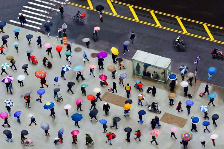 People walking with umbrellas on the road