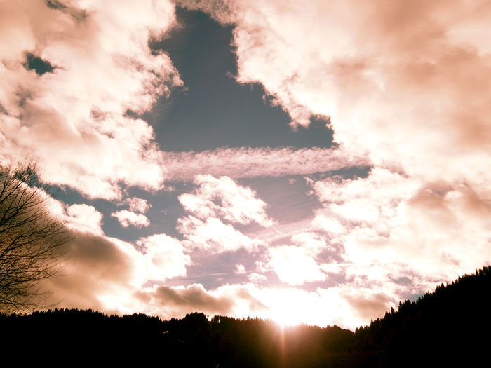 Low angle view of silhouette trees against sky