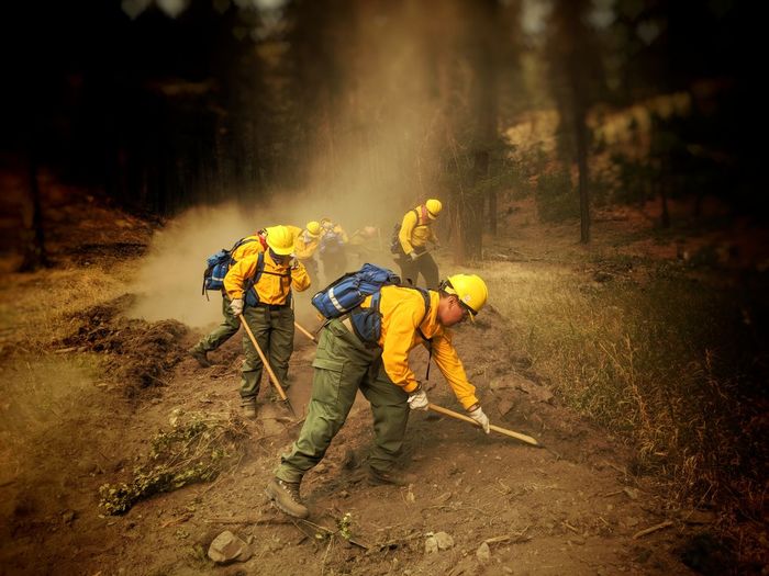 Rescue worker digging in forest