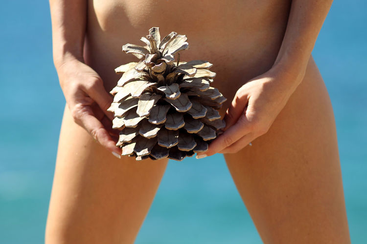 Midsection of naked woman holding pine cone while standing at beach