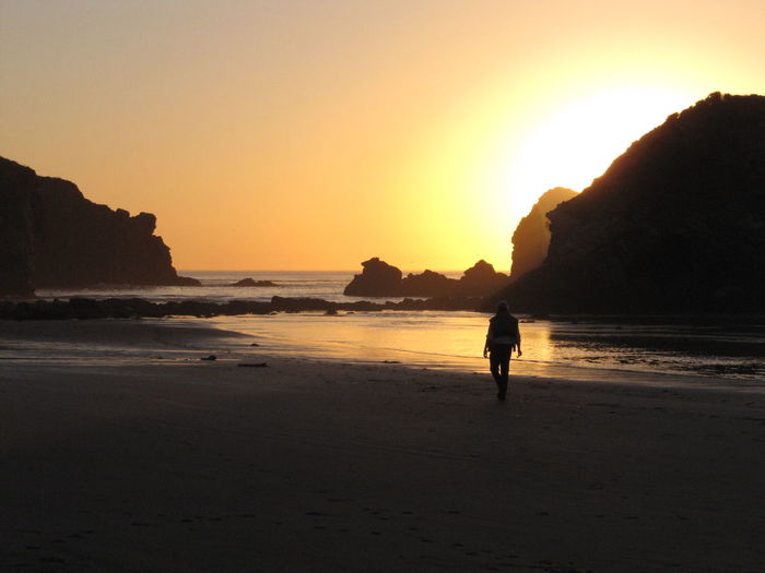 Silhouette of people on beach at sunset
