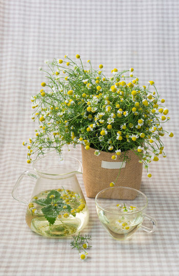 Close-up of drinks with flowers on table