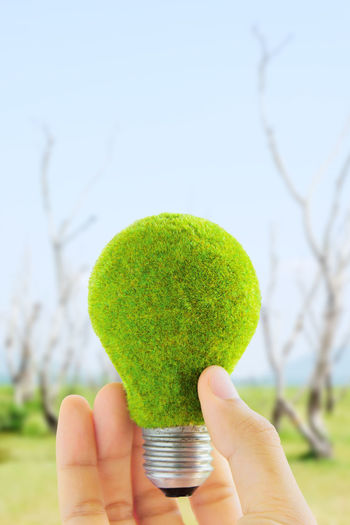 Cropped image of person holding moss covered light bulb