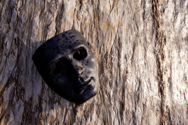 Close-up of human skull on wood