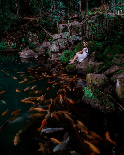 Young woman sitting by pond with fish on rock