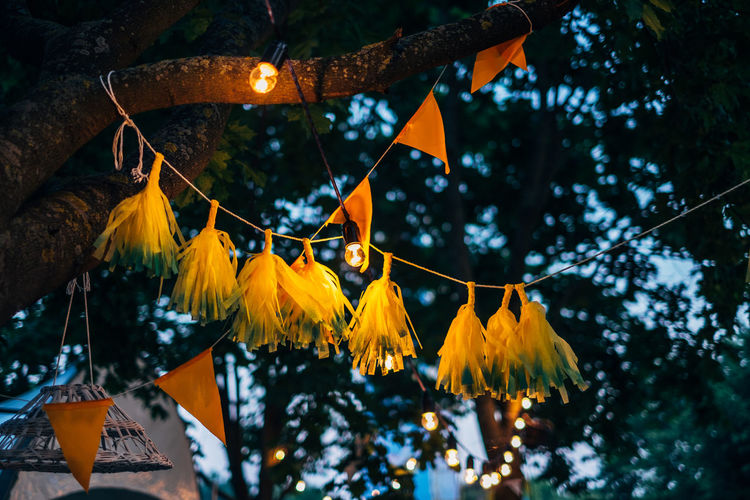 Low angle view of bunting hanging from tree