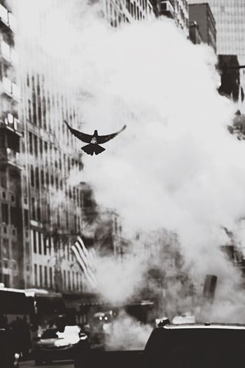 Man flying in city
