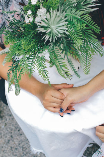 High angle view of woman hand holding plant