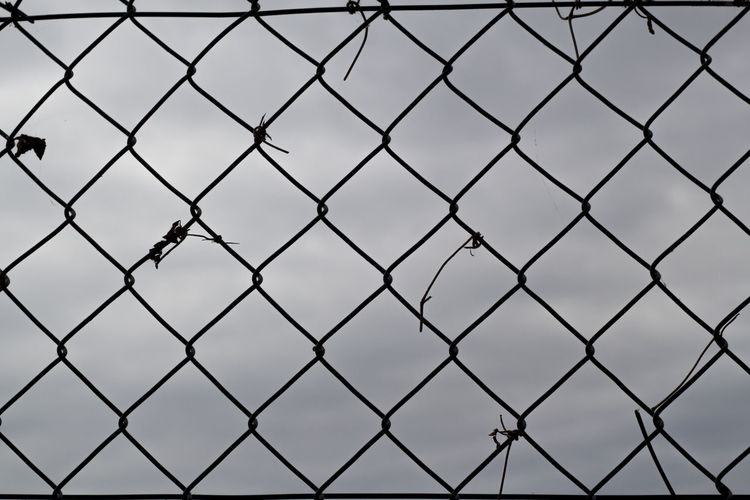A metal mesh vetch photographed sideways.