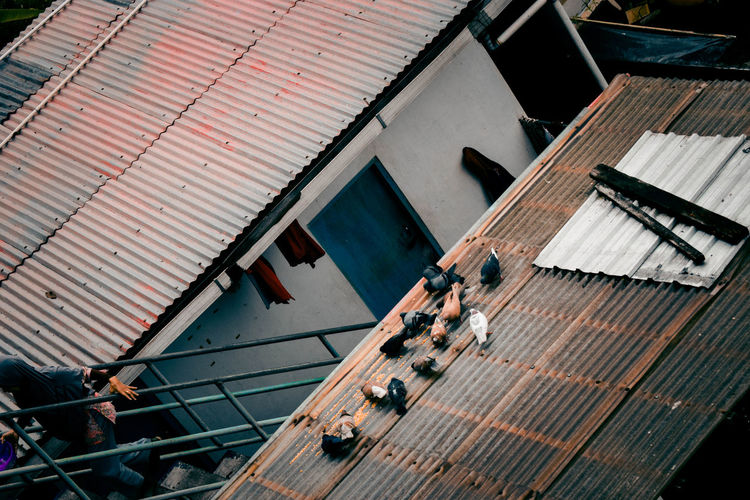 High angle view of people on roof of building