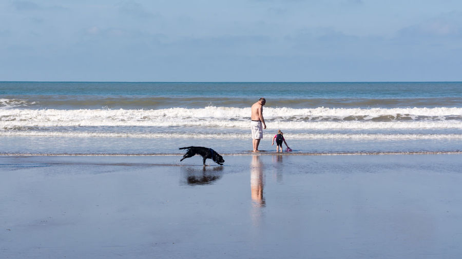 Father and daughter with dog playing at sea shore