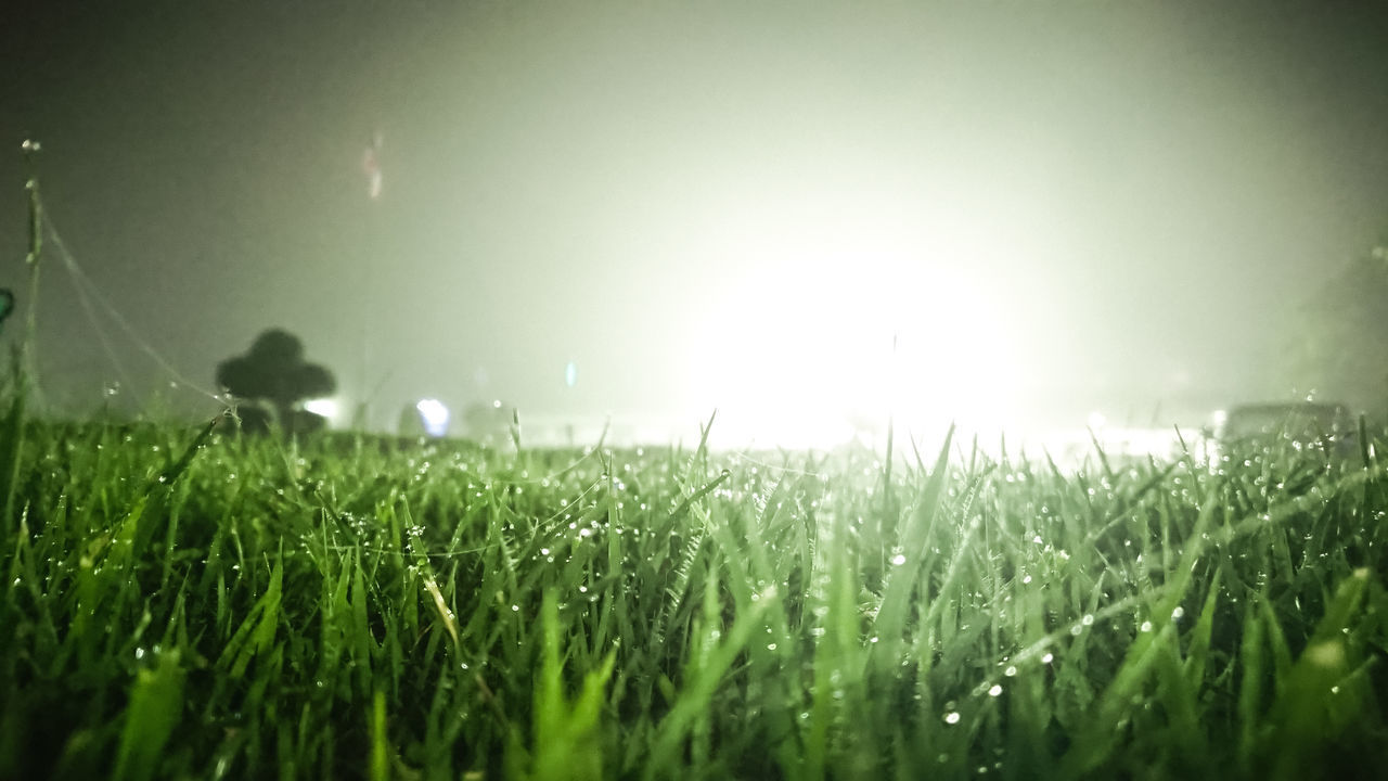 SURFACE LEVEL OF GRASS ON FIELD AGAINST SKY