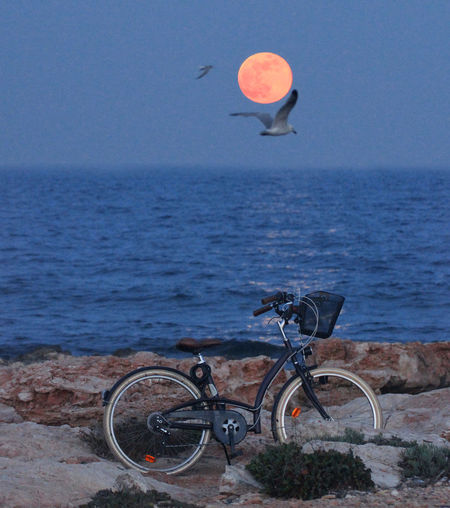 Bicycle parked at beach against clear sky during sunset