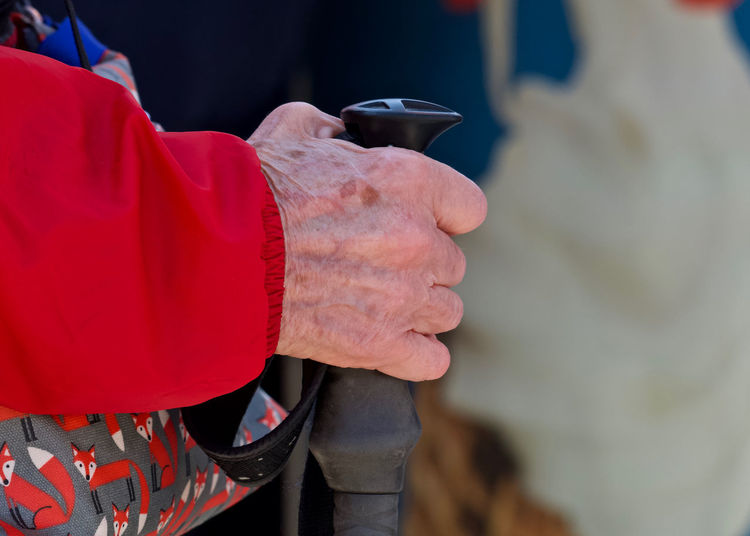 Cropped hand of person holding walking stick