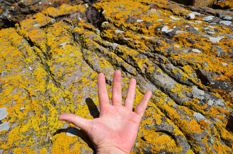 Cropped hand over lichen rock on sunny day
