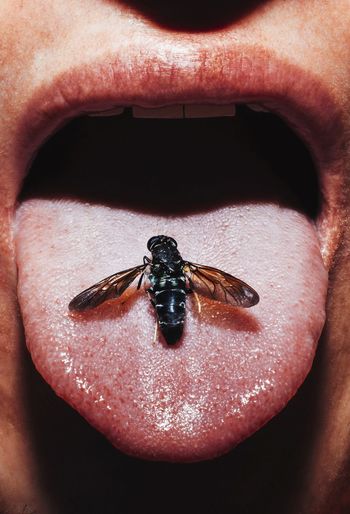 Cropped image of person with dead insect on tongue